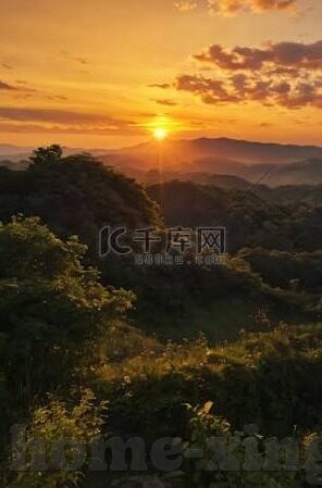 免费成人视频app-免费成人视频app，网络时代的娱乐与风险并存